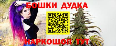 крисы Бийск