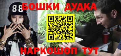крисы Бийск