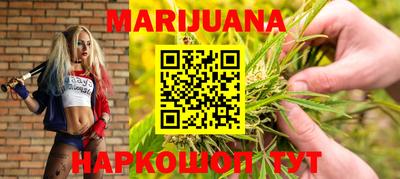 крисы Бийск