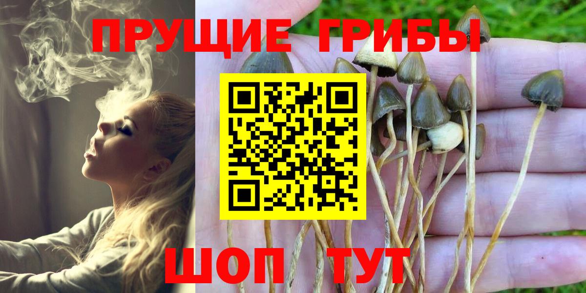 Псилоцибиновые грибы GOLDEN TEACHER Ковров