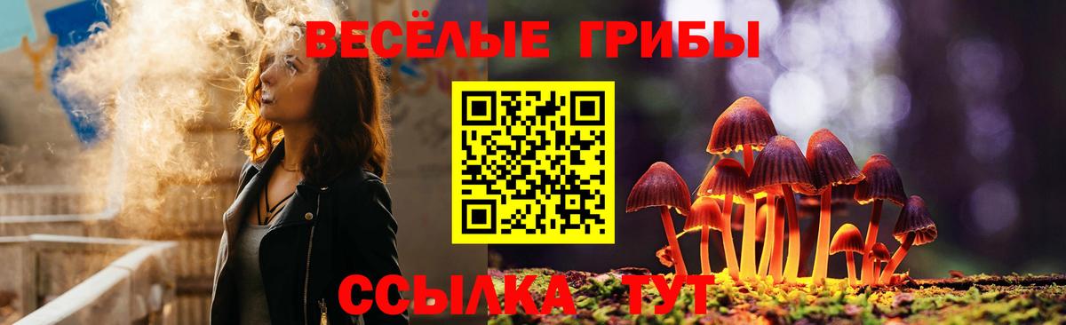 Ковров  Галлюциногенные грибы Psilocybine cubensis  Псилоцибиновые грибы мицелий  Вход с VPN 
